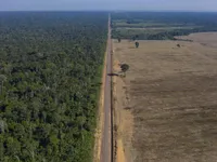 Brazil điều động binh sĩ quân đội chống phá rừng Amazon