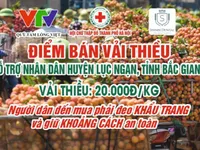 Hỗ trợ nhà nông tiêu thụ vải thiều Bắc Giang