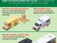 Những loại xe được ưu tiên hoạt động trên các “luồng xanh” vận tải