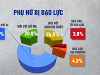 Hơn 30% phụ nữ từng hứng chịu bạo lực gia đình