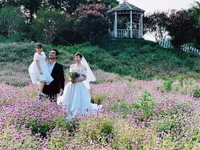 'Mùa hoa tìm lại' kết thúc, Thanh Hương tung ảnh đám cưới hạnh phúc của Lệ - Đồng