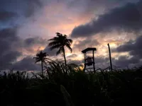 Bão nhiệt đới Elsa mạnh lên khi đổ bộ vào bang Florida, có thể gây ra lũ lụt và lốc xoáy