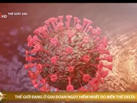 Thế giới đang ở giai đoạn nguy hiểm nhất do biến thể Delta