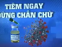 Thế giới đang chạy đua với thời gian để tiêm vaccine COVID-19