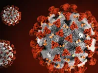 Người nhiễm biến thể Delta có thể lây lan virus 2 ngày trước khi có triệu chứng