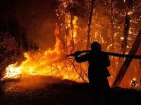 Thủ đô Hy Lạp chìm trong khói bụi do cháy rừng