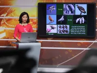 Education ministry agrees to cut back teaching programmes due to school closure