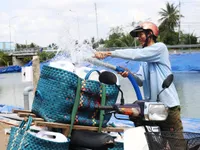 Five provinces under emergency conditions due to saltwater intrusion receive funds from ministry