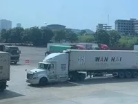 Agricultural sector gains trade surplus in Q1 despite COVID-19