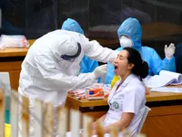 Six new COVID-19 cases announced Friday morning, VN's tally stands at 233