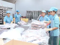 Cold storage demand surges during COVID-19