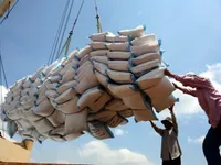 MoIT proposes to resume rice exports