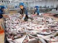 VASEP requests support for seafood exporters