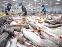 Tra fish exports to US, China rise in March