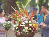 Việt Nam đa sắc: Mùa hư ảo của Hà Nội