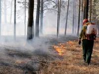 Cháy rừng Siberia giải phóng hàng triệu tấn khí carbon