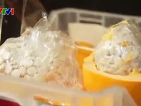 Cuộc chiến chống ma túy Captagon tại Trung Đông