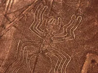 Phát hiện hơn 100 hình động vật được khắc trên đá ở sa mạc Peru