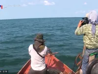 Explore series of scientific documentaries about Kien Giang's coastal ecosystem
