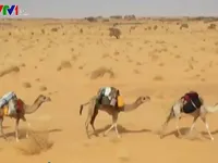 Mauritania - quốc gia Tây Bắc châu Phi đầu tư mạnh vào năng lượng tái tạo