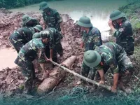 Ngày Thế giới phòng chống bom mìn 4/4: Việt Nam nỗ lực thúc đẩy khắc phục hậu quả bom mìn