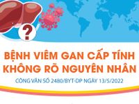 [INFOGRAPHIC] Bệnh viêm gan cấp tính không rõ nguyên nhân