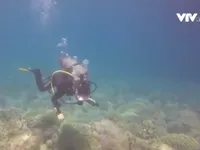 Người đ&agrave;n &ocirc;ng 20 năm thầm lặng gom r&aacute;c dưới đ&aacute;y biển