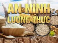 An ninh lương thực - câu chuyện quốc tế nóng tuần qua