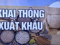 Xung đột Nga - Ukraine làm tê liệt hệ thống cảng biển, tình trạng thiếu lương thực có thể tồi tệ hơn