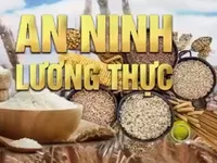 Mất an ninh lương thực đe dọa nhiều quốc gia Đông Nam Á