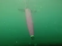 Thiết bị lặn kh&ocirc;ng người l&aacute;i đầu ti&ecirc;n theo d&otilde;i CO2 trong l&ograve;ng đại dương