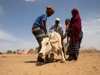 LHQ kêu gọi hỗ trợ khẩn cấp nhằm ngăn chặn nạn đói ở Somalia