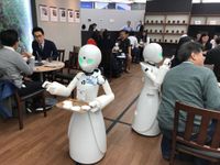 Robot giúp Nhật Bản giải quyết bài toán nhân công