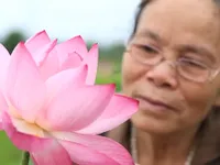 Multicolored Vietnam: Honoring Vietnamese Culture