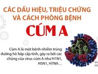 Các dấu hiệu, triệu chứng và cách phòng bệnh cúm A