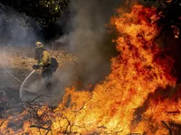 Hàng nghìn người phải sơ tán trong đám cháy rừng lớn nhất năm ở California