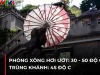 Trung Quốc: Trùng Khánh trở thành 'phòng xông hơi' vì nắng nóng