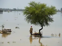 Pakistan ban bố tình trạng khẩn cấp do lũ lụt