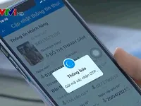 Đình chỉ hoạt động phát triển thuê bao mới đối với nhà mạng vi phạm