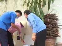 Hà Nội ra quân diệt lăng quăng phòng chống sốt xuất huyết