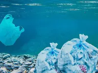 TV program 'White Pollution': changing awareness of plastic waste and pollution
