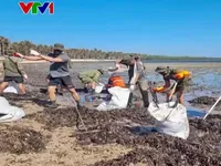 Dầu loang đe dọa khu bảo tồn biển của Philippines