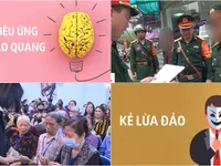 Điểm tuần: 'Hiệu ứng hào quang' và mặt trái