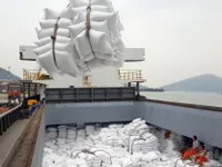 Giá gạo Việt xuất khẩu đứng đầu thế giới