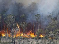 Cháy rừng lan rộng ở Đông Nam Australia giữa đợt nắng nóng mùa xuân