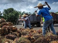 Malaysia tuyển dụng lao động nước ngoài trong 3 lĩnh vực