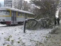 Bão mạnh hoành hành ở Nga, Ukraine và Moldova