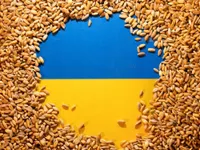 EU căng thẳng vì lệnh cấm ngũ cốc Ukraine