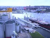 EU xem xét hạn chế nhập khẩu ngũ cốc Ukraine