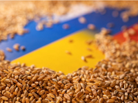 Hungary sẽ tiếp tục cho phép ngũ cốc Ukraine quá cảnh